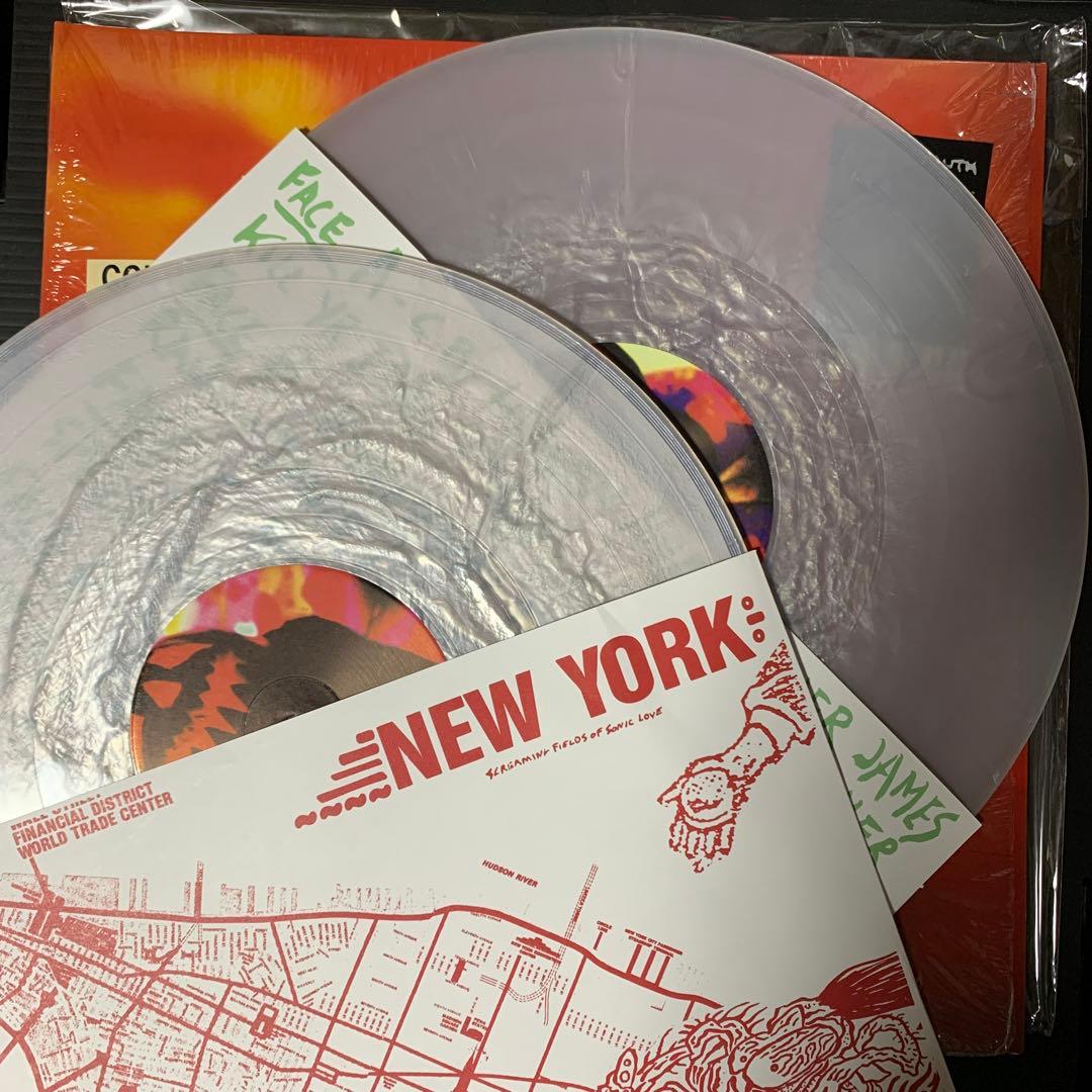 Sonic Youth 「Walls Have Ears 」 LP
