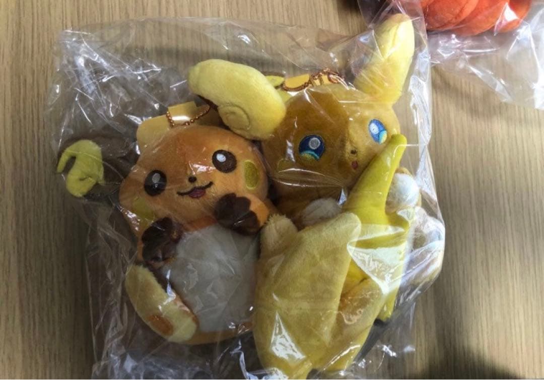 ポケモンセンター　にたものどうし　ライチュウ