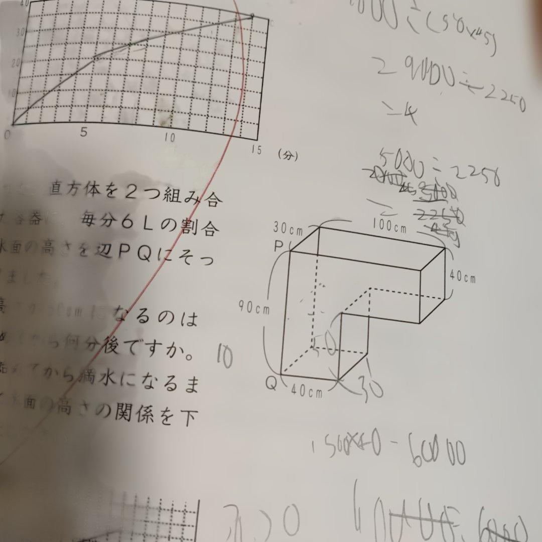 サピックス　SAPIX 小学5年算数 デイリー サポートなど1年分　使用済み