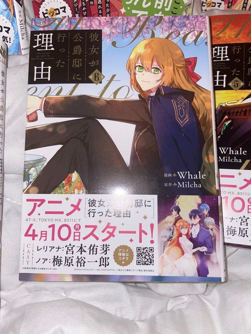 彼女が公爵邸に行った理由　1〜9巻