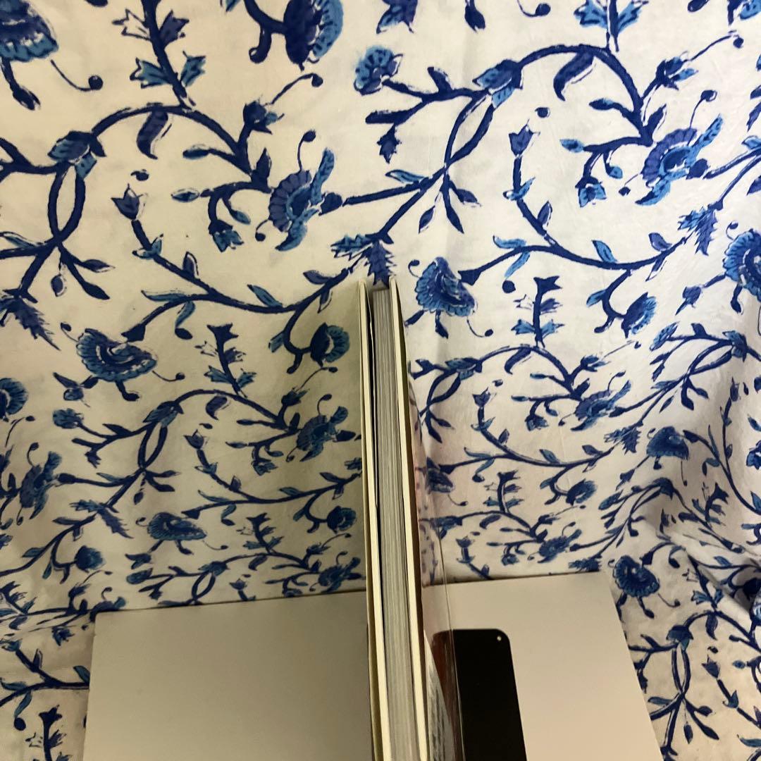 写真集　Bulaときめき : 飯田里穂写真集