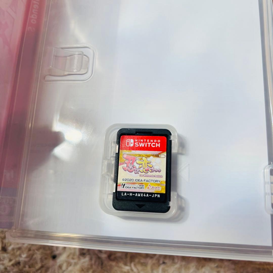 忍び、恋うつつ　switch 予約特典小冊子〜入門編〜