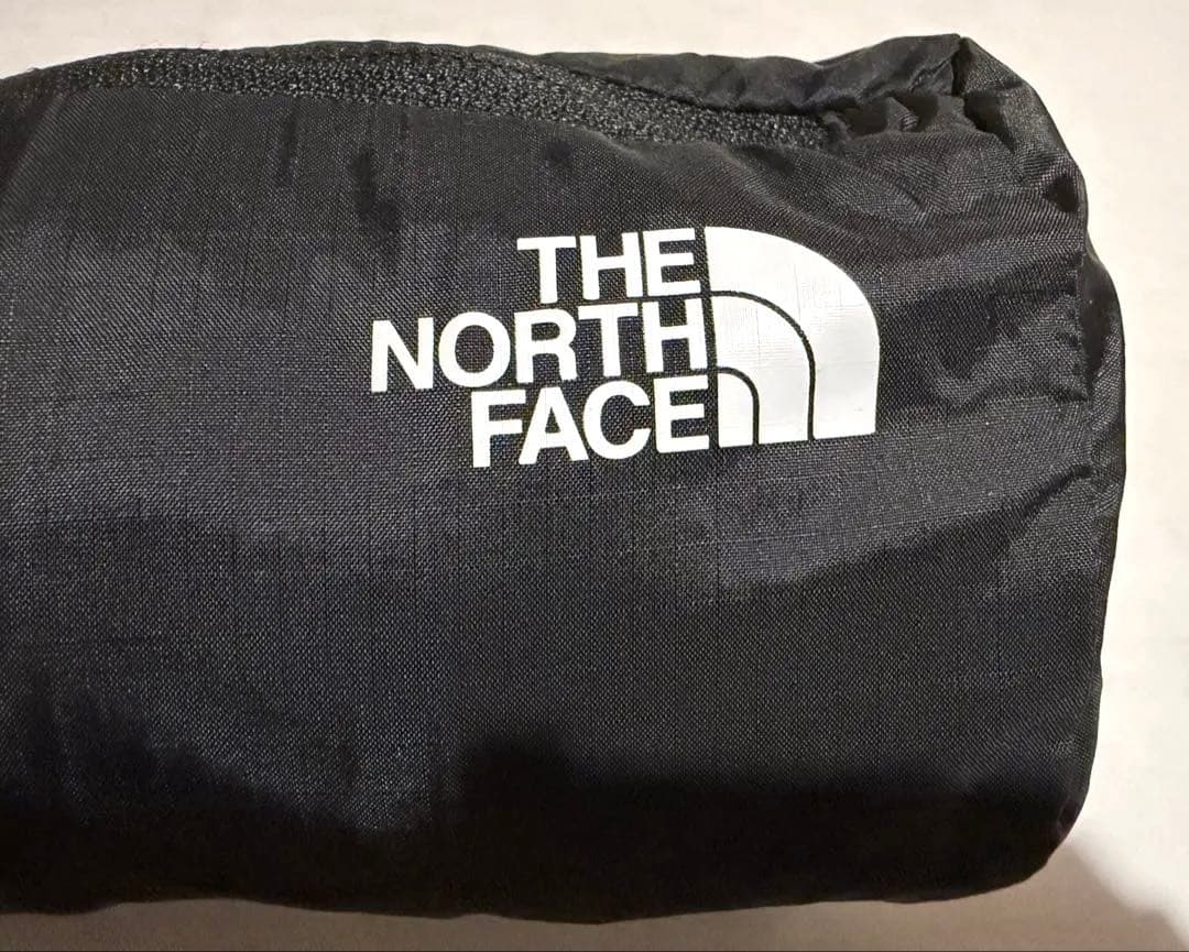 ノースフェイスTHE NORTH FACE Glam Duffel 45L