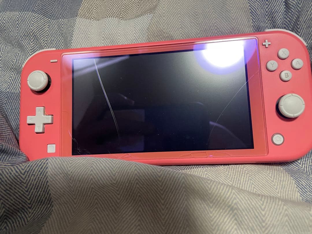Nintendo Switch Lite 本体　充電器　ケース付きコーラルピンク