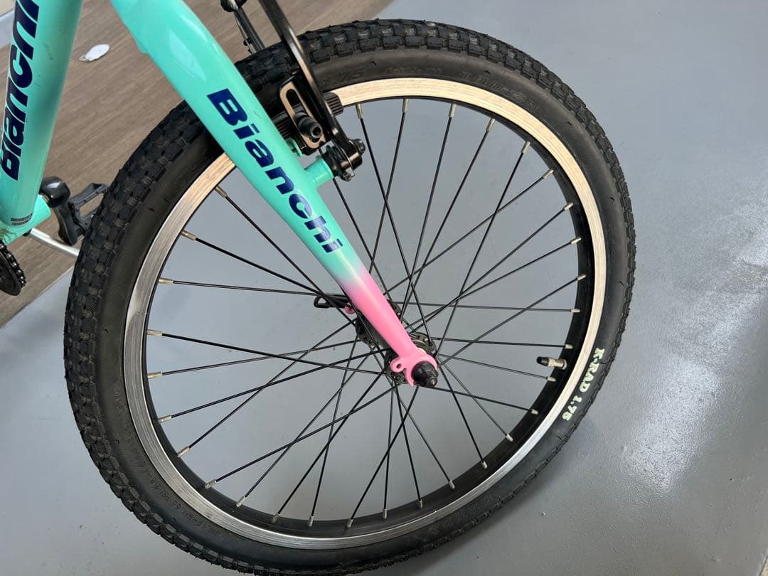 Bianchi Pirataキッズバイク 20インチ 水色とピンク