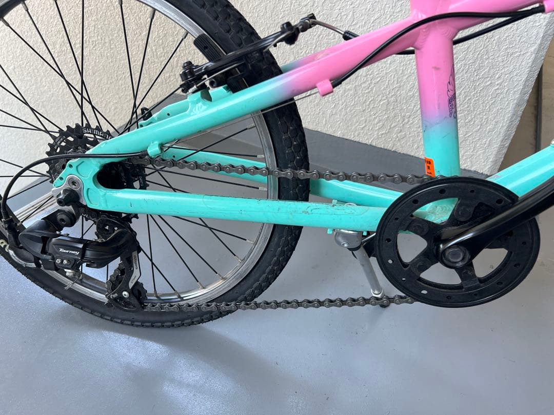 Bianchi Pirataキッズバイク 20インチ 水色とピンク