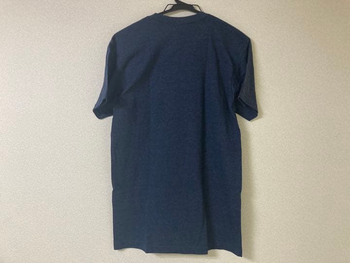 菅田将暉 DINOSAUR Jr. ダイナソージュニア Monster Tシャツ