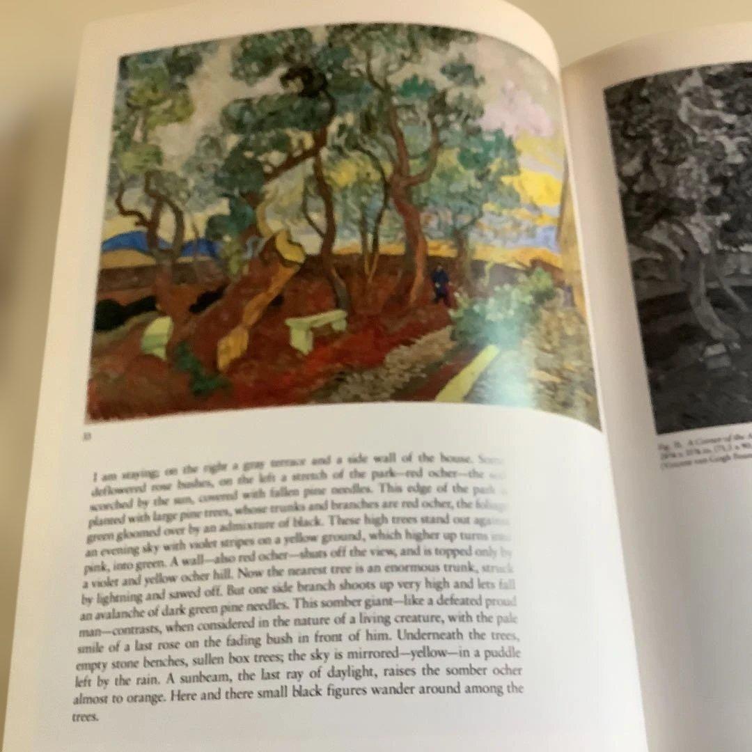 VAN GOGH IN SAINT-RÉMY AND AUVERS