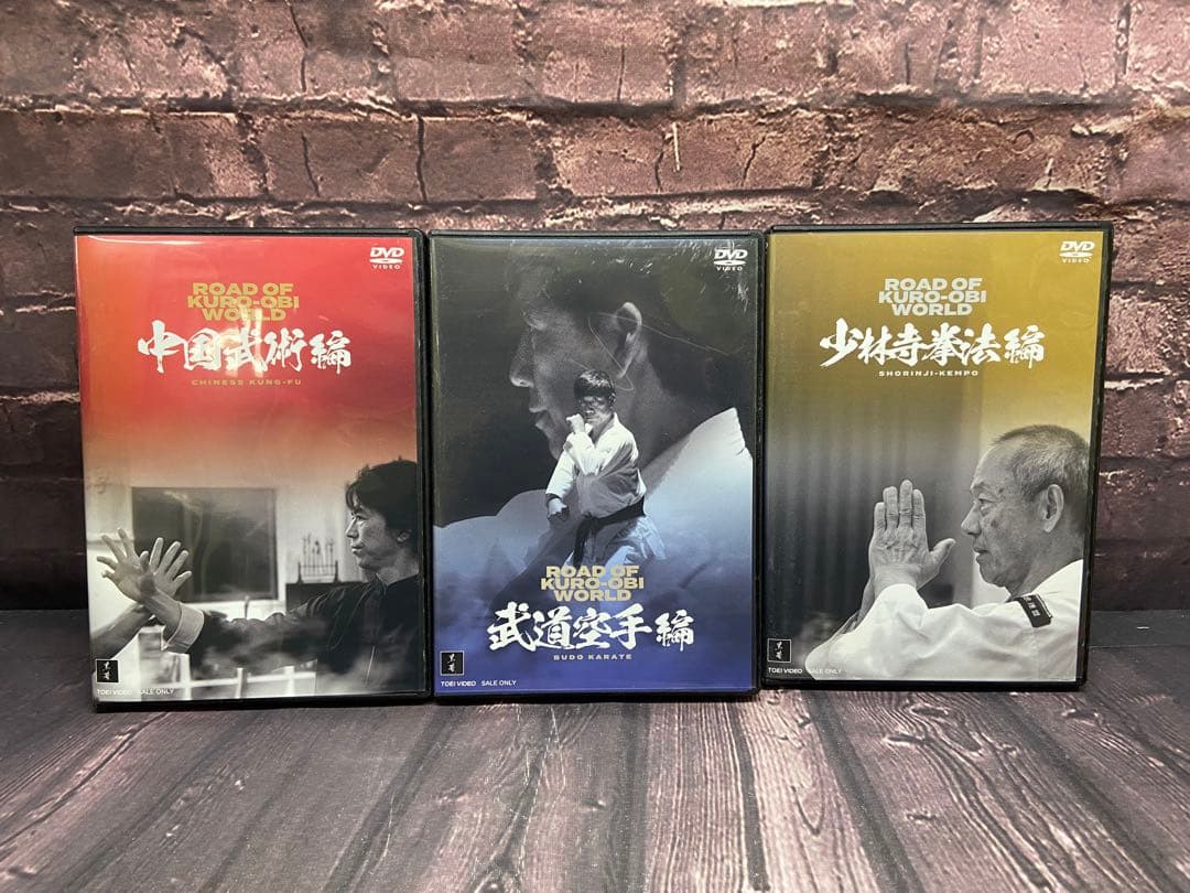 DVD ロードオブ黒帯 ワールド 少林寺拳法　中国武術　空手