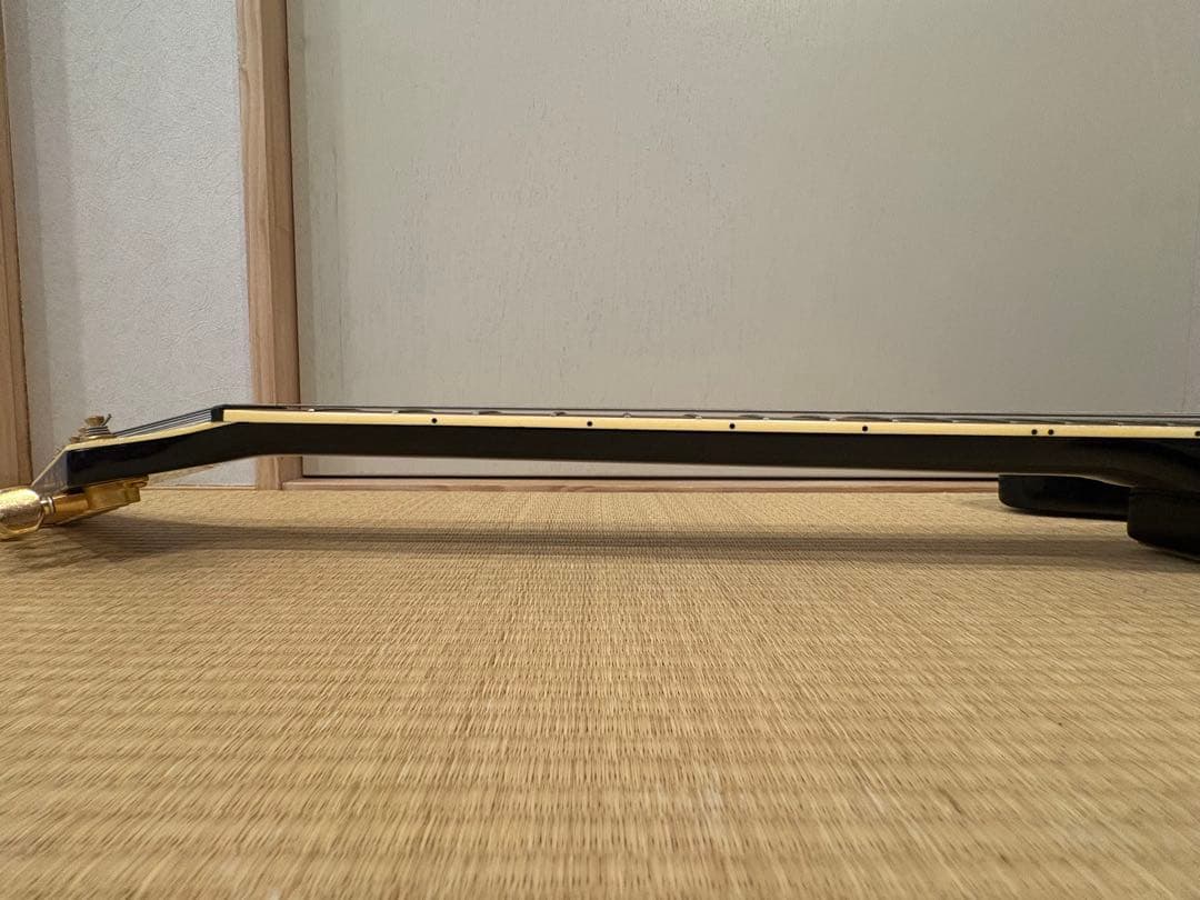 S*n様 最終値下げです　FERNANDES TEJ-55G リミテッドエディシ