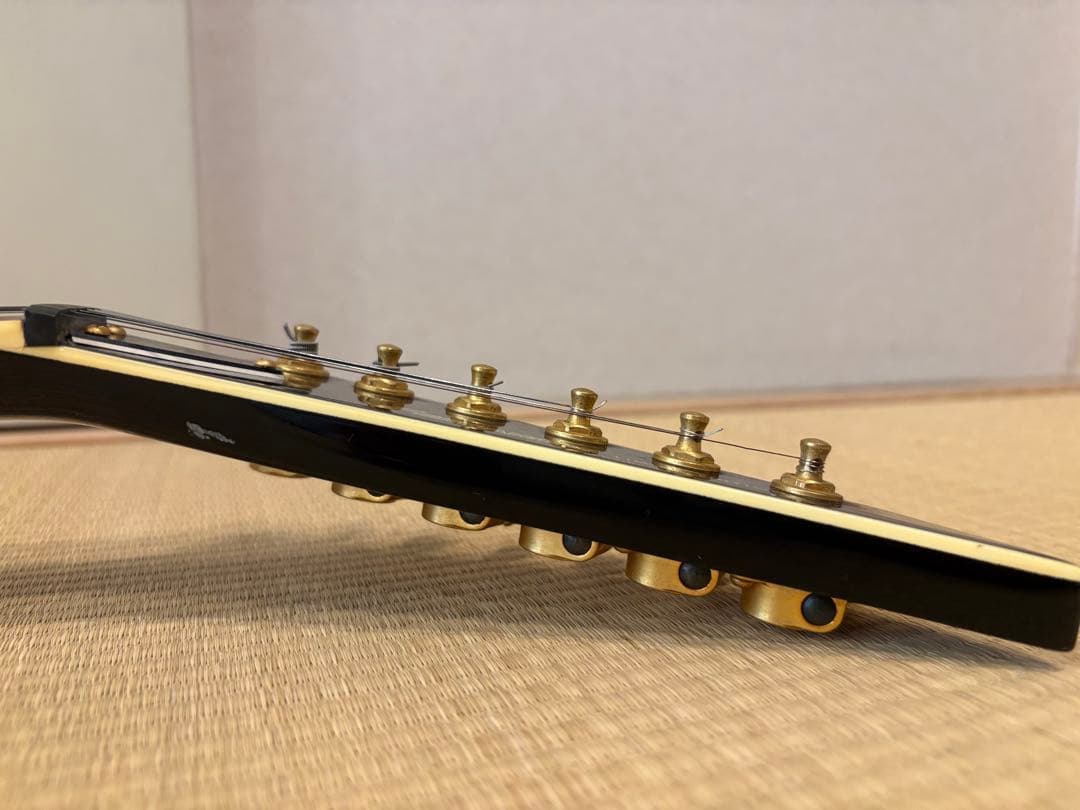 S*n様 最終値下げです　FERNANDES TEJ-55G リミテッドエディシ