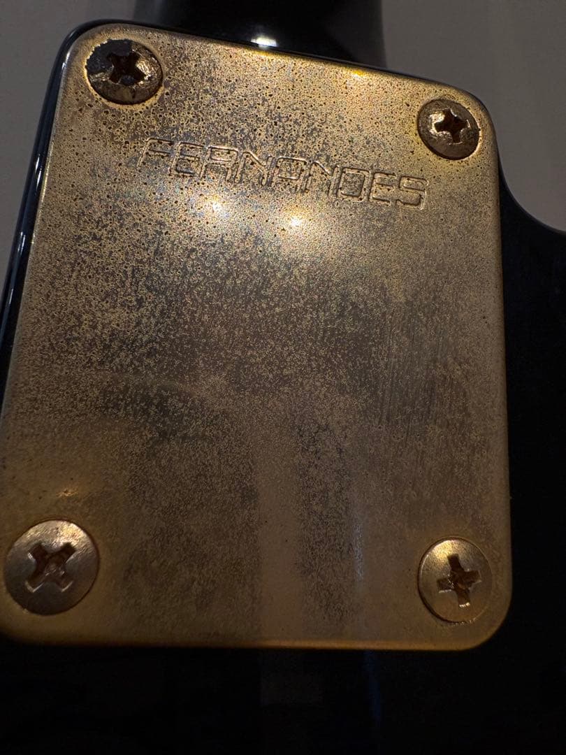 S*n様 最終値下げです　FERNANDES TEJ-55G リミテッドエディシ