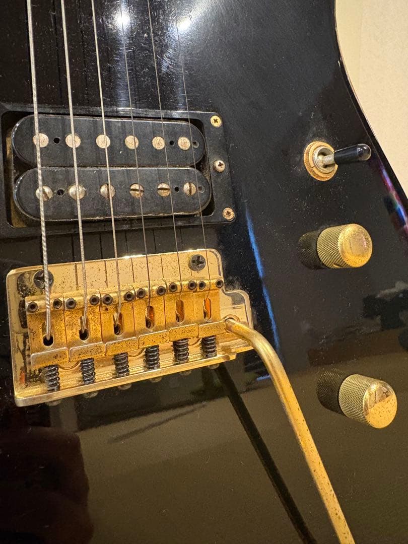 S*n様 最終値下げです　FERNANDES TEJ-55G リミテッドエディシ