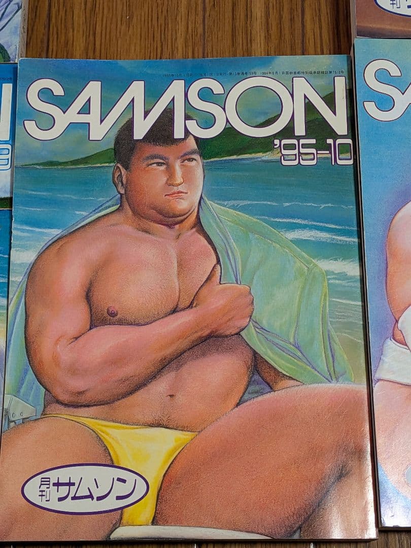 サムソン1995年 11冊セット