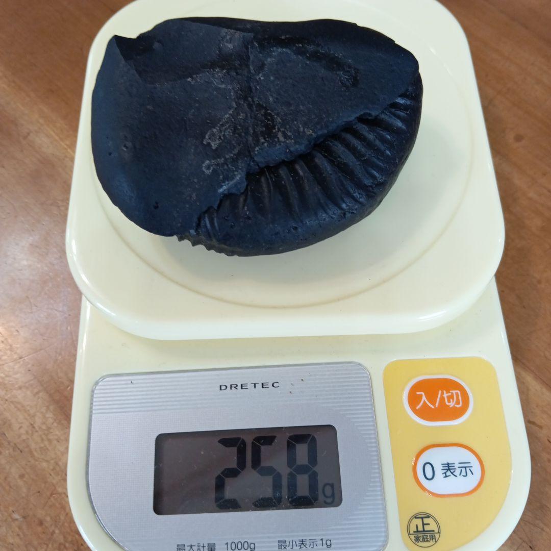 ヒマラヤアンモナイト化石 約8.5cm 黒色 #258