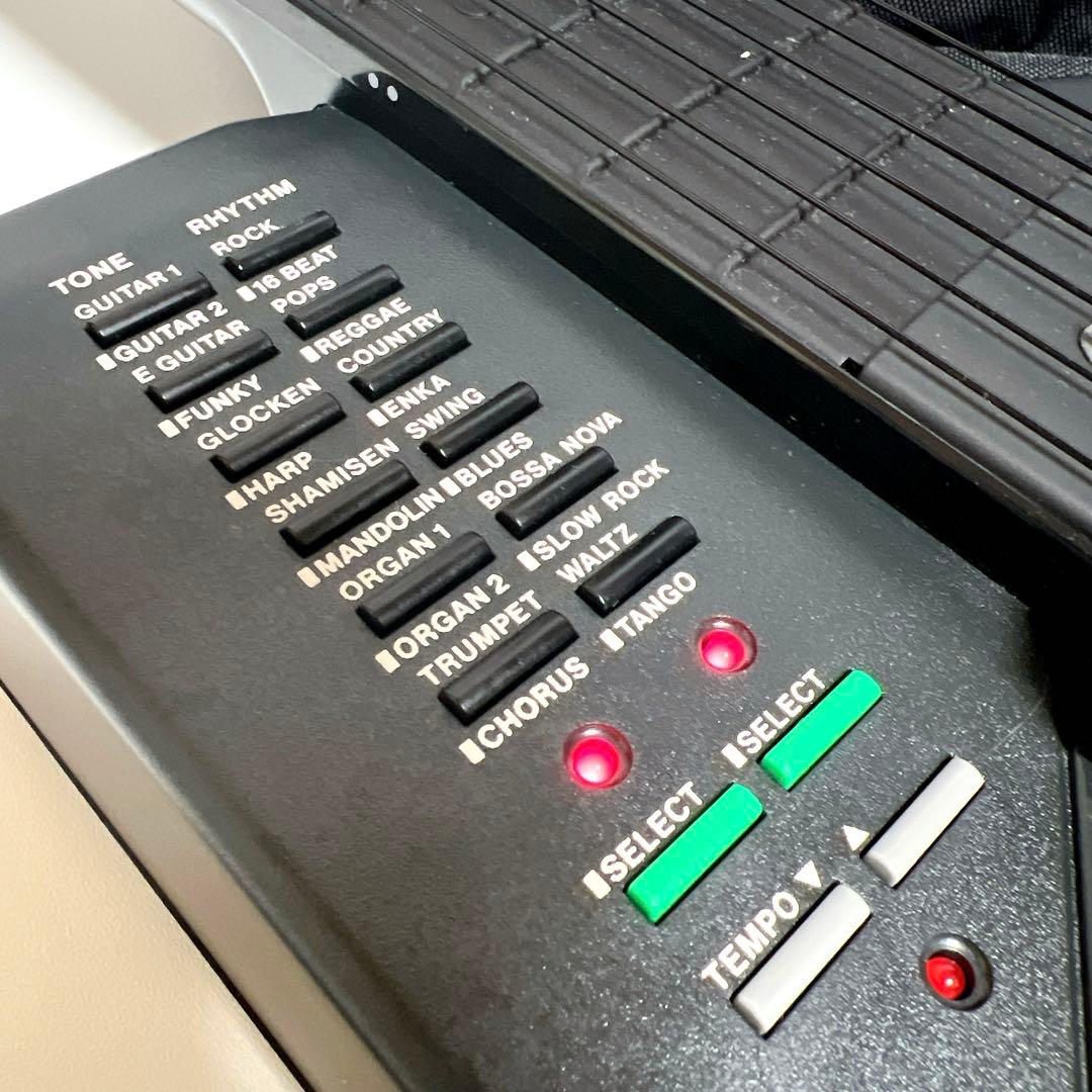 【美品】CASIO DG-1 デジタルギター　カシオ　シンセギター