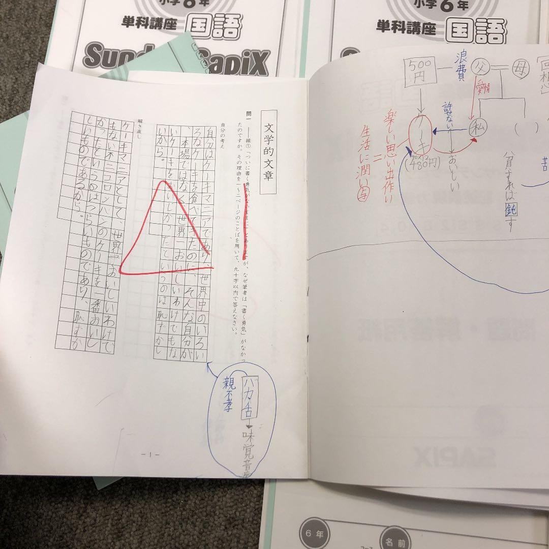 サピックス　６年　SS特訓　国語　記述表現力講座　2020年　中古