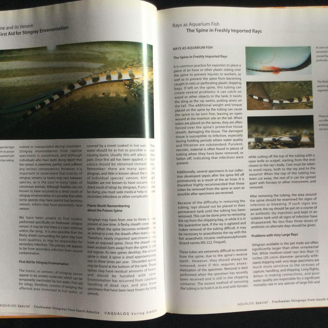 淡水エイ　魚　洋書　Aqualog 南アメリカ　南米　Ray 淡水魚　熱帯魚　魚