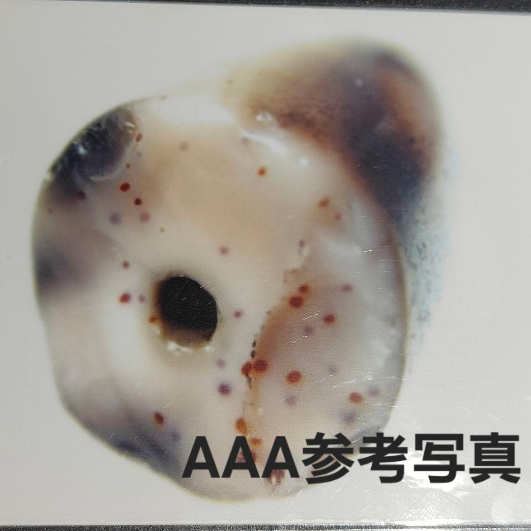 A5 老礦天珠　流水天珠　ハイブランド　天珠　天然石　鉱物　風水　開運　御守り