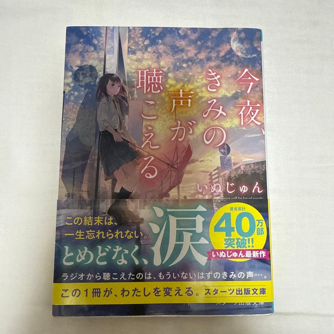 2冊以外恋愛小説