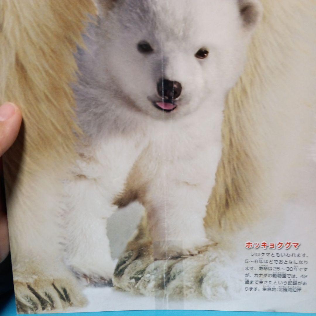 児童書まとめ売り　動物図鑑　いきものシリーズ