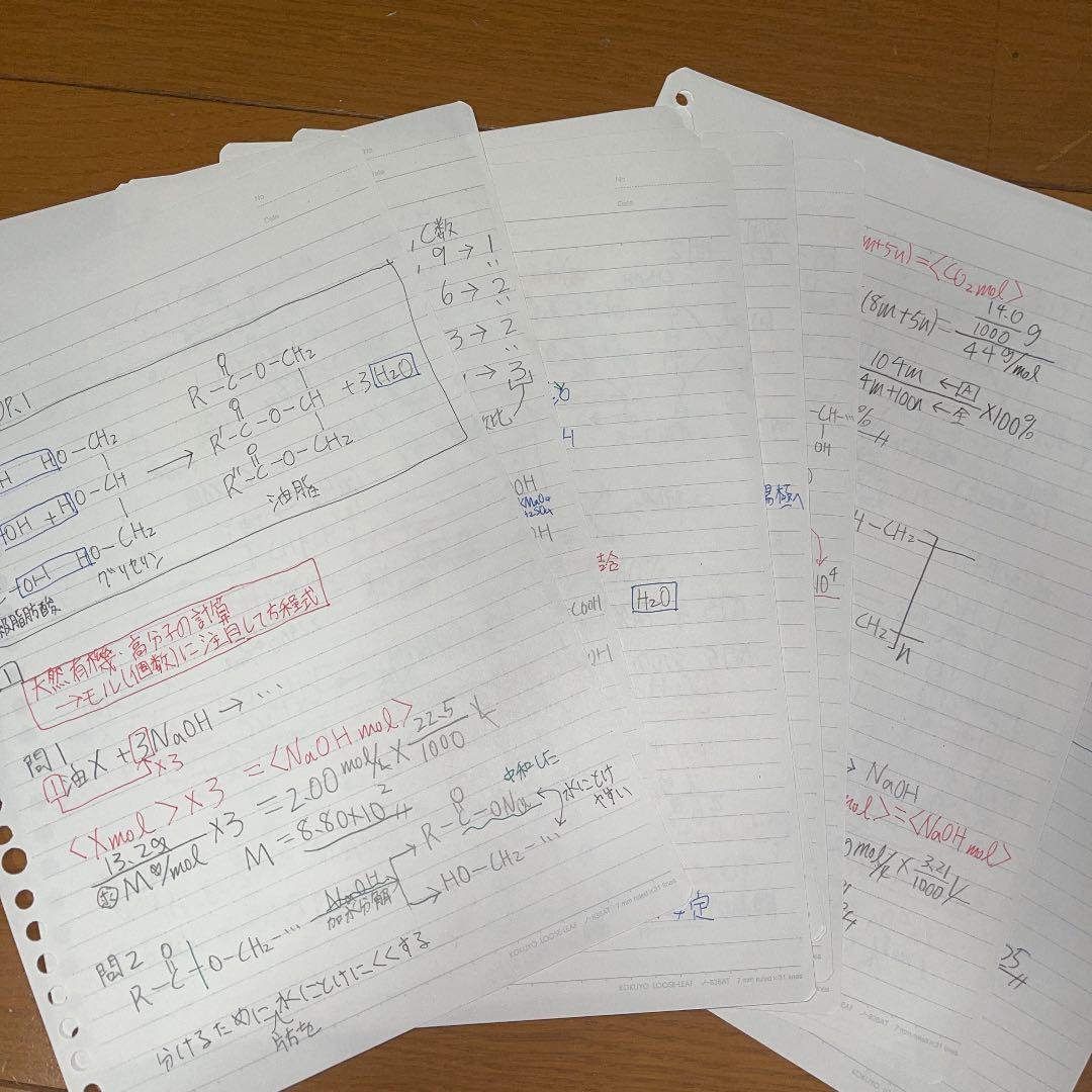 天然有機物と合成高分子化合物(景安) 駿台直前講習　板書付き