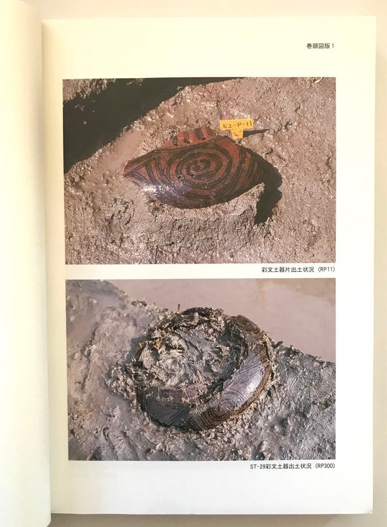 押出遺跡発掘調査報告書(本文編)(図版・表・分析編)