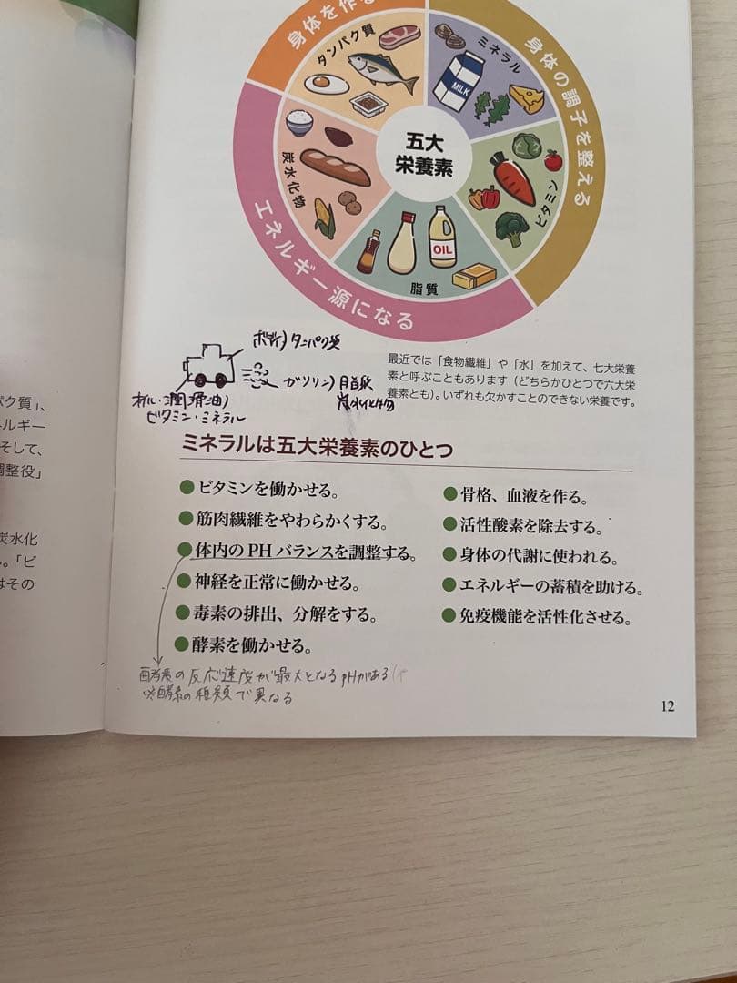 ドテラセット