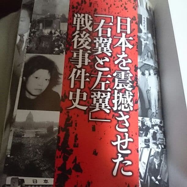 日本の右翼と左翼がわかる本これみて東大合格だ！
