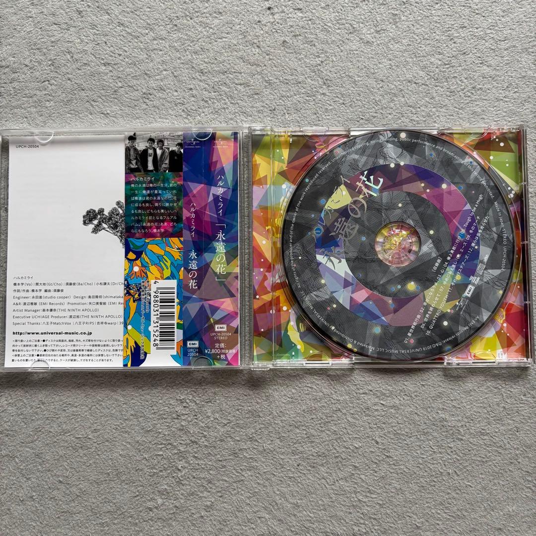ハルカミライ まとめ売り CD DVD セット