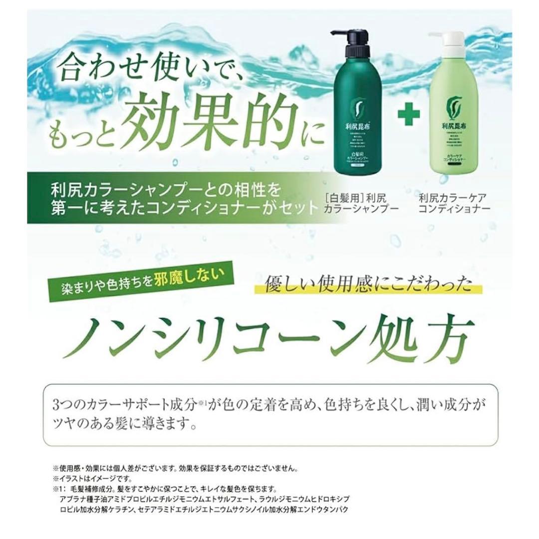 【大容量500ml】白髪用カラーシャンプーセット ミネラルイオンブラシ 利尻昆布