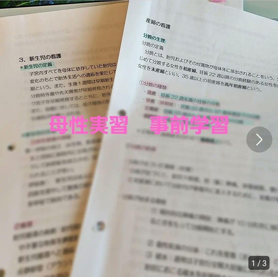 母性看護過程母性実習　事前学習+母性アセスメンセット看護過程　看護実習　看護学生