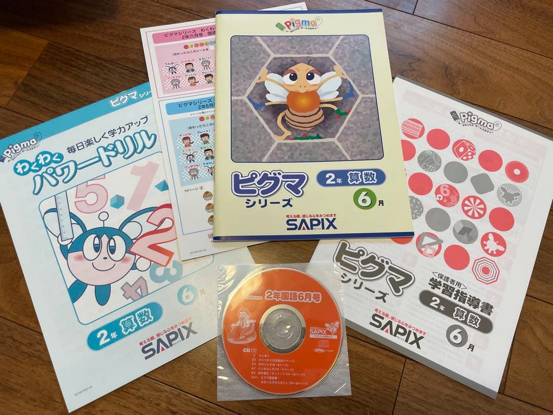 えり 【未記入】サピックス　ピグマ　2年生　通信