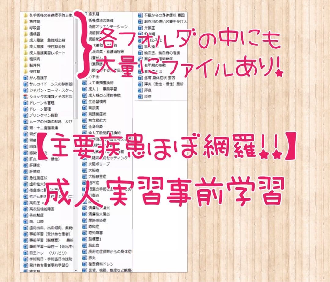 看護学生 看護実習 看護過程 手順書 関連図 計画 看護師 アセスメント 国試
