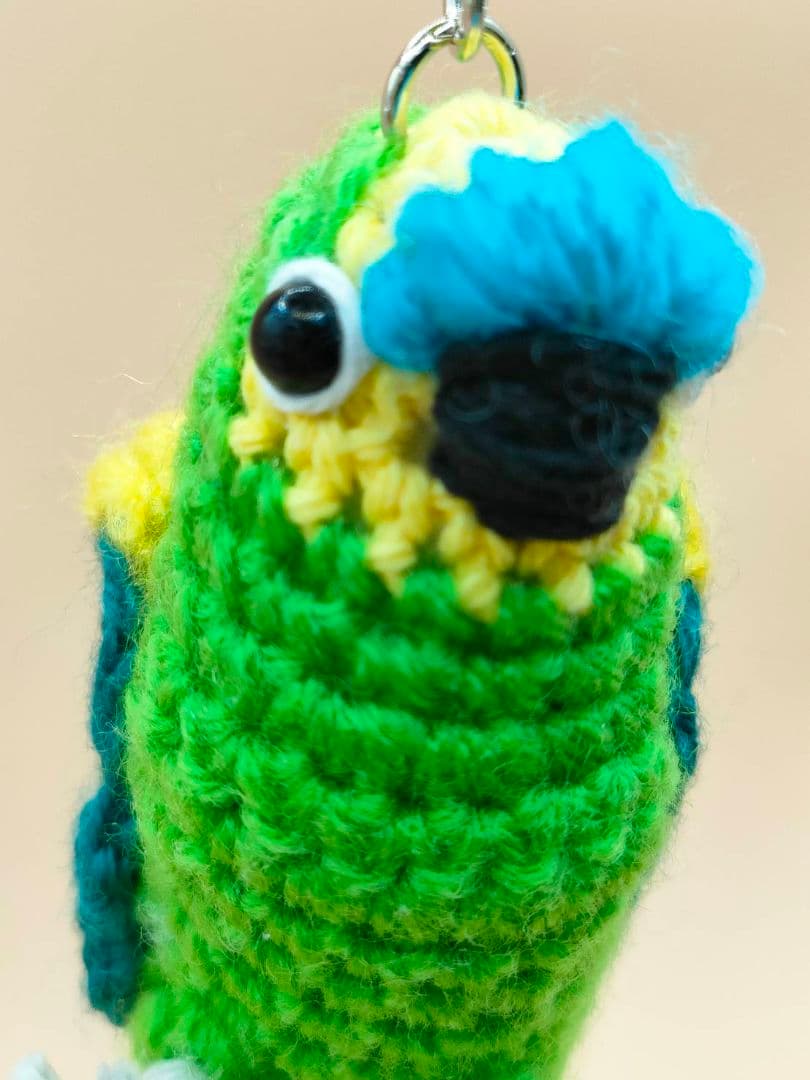 ぴぴたんママ　オニオオハシ、アオボウシ、オオバタン、コンゴウインコ