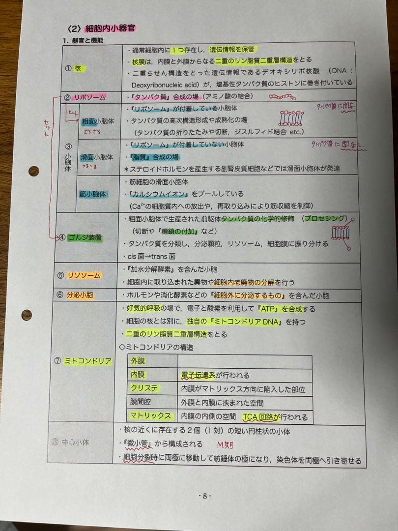 美品2026 DESデンタル　119回歯科医師国家試験コース 資料全て[裁断済]