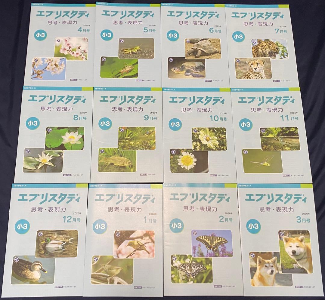最新版 Z会 小学3年 2025年度 1年分 国算理社英 思考表現力 未記入