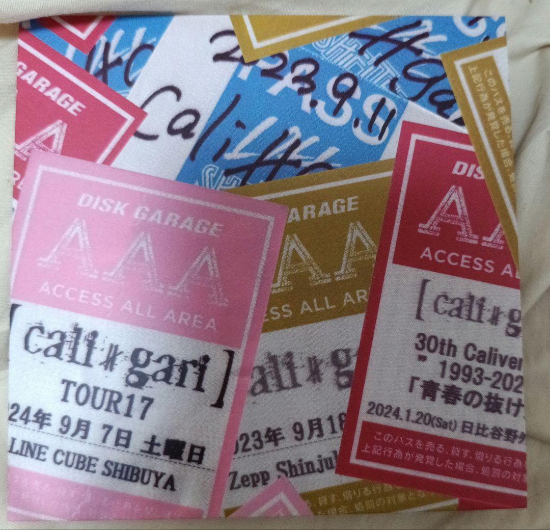 cali≠gari 三十周年ライブ音源集 DVD-ROM