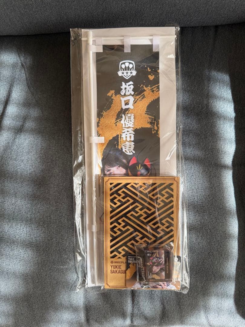 DARTSLIVE PLAYER SET 坂口優希恵