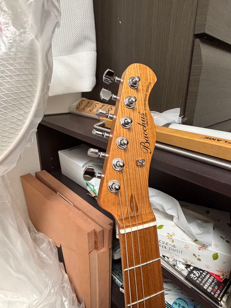 Bacchus バッカステレキャスターBTE-2RSM/M 3TS ソフトケース