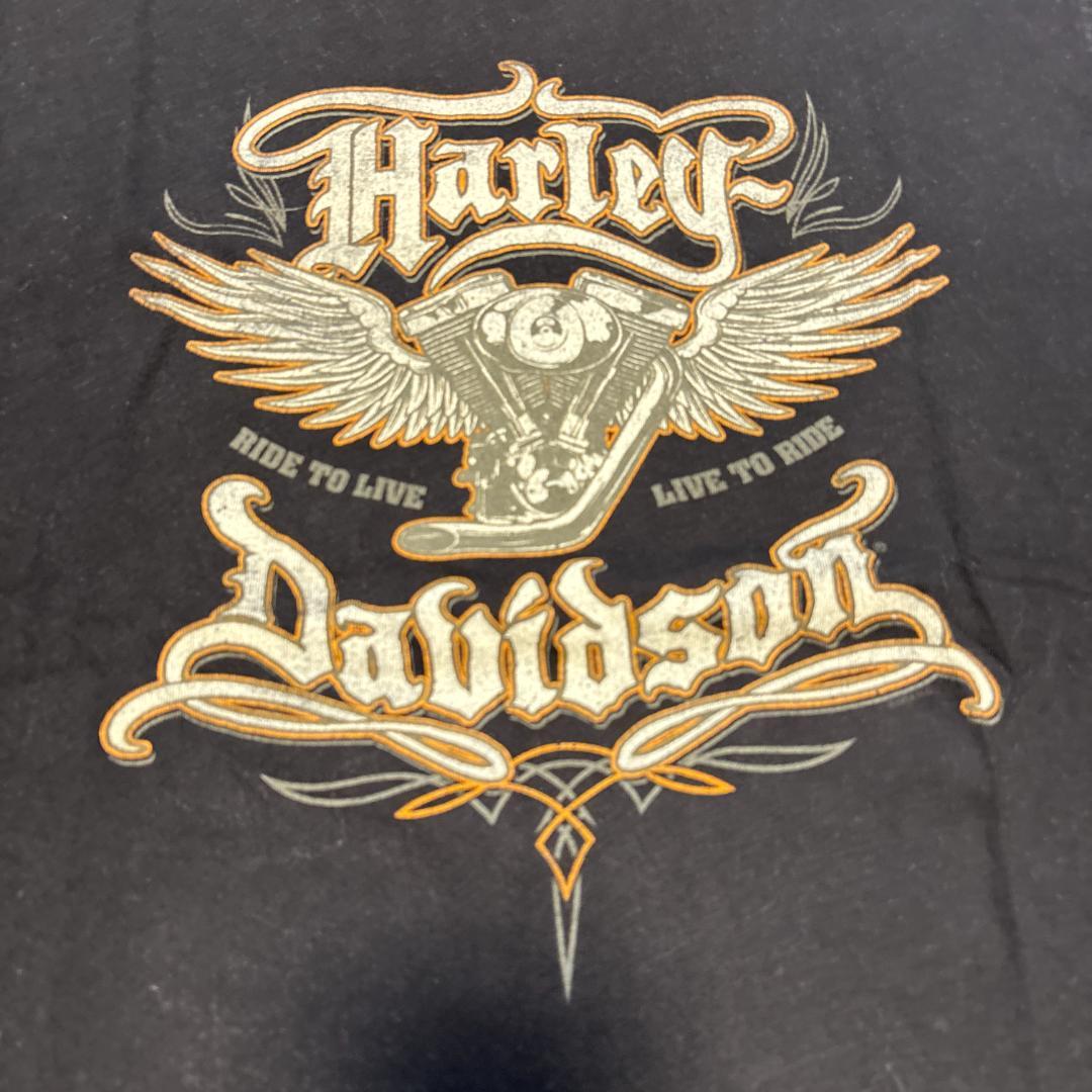 HARLEY-DAVIDSON　2014年製　ノースリーブ　L 大地