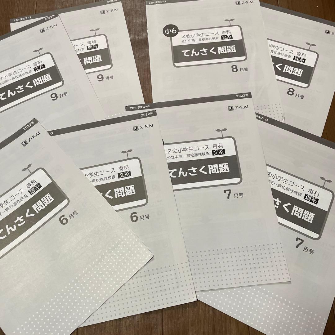 【特価】エブリスタディ公立中高一貫校適性検査　作文　3月から9月