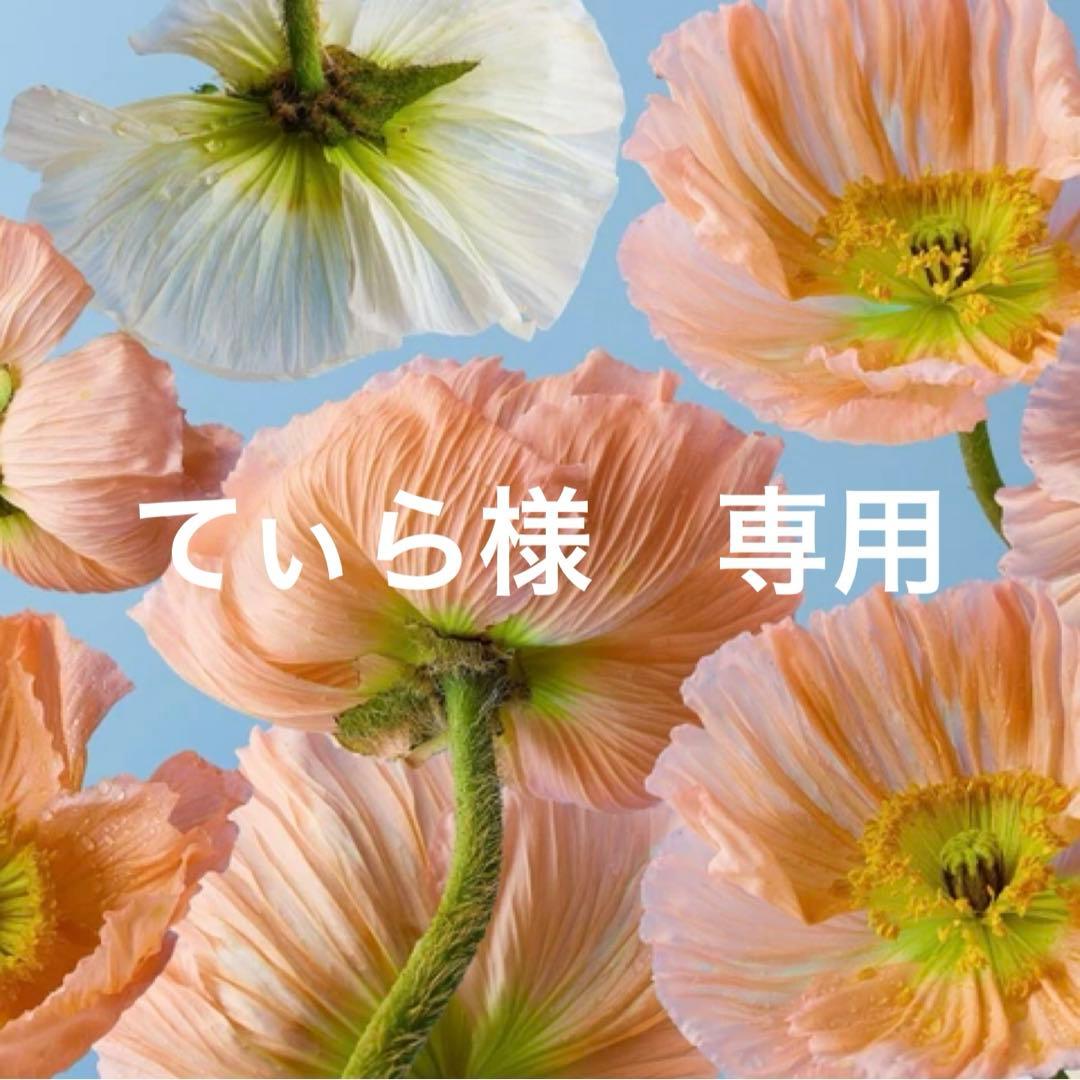 てぃら　23サイズ