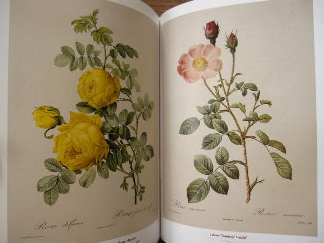 アート・デザイン・音楽 Masterpieces of Botanical Illustration