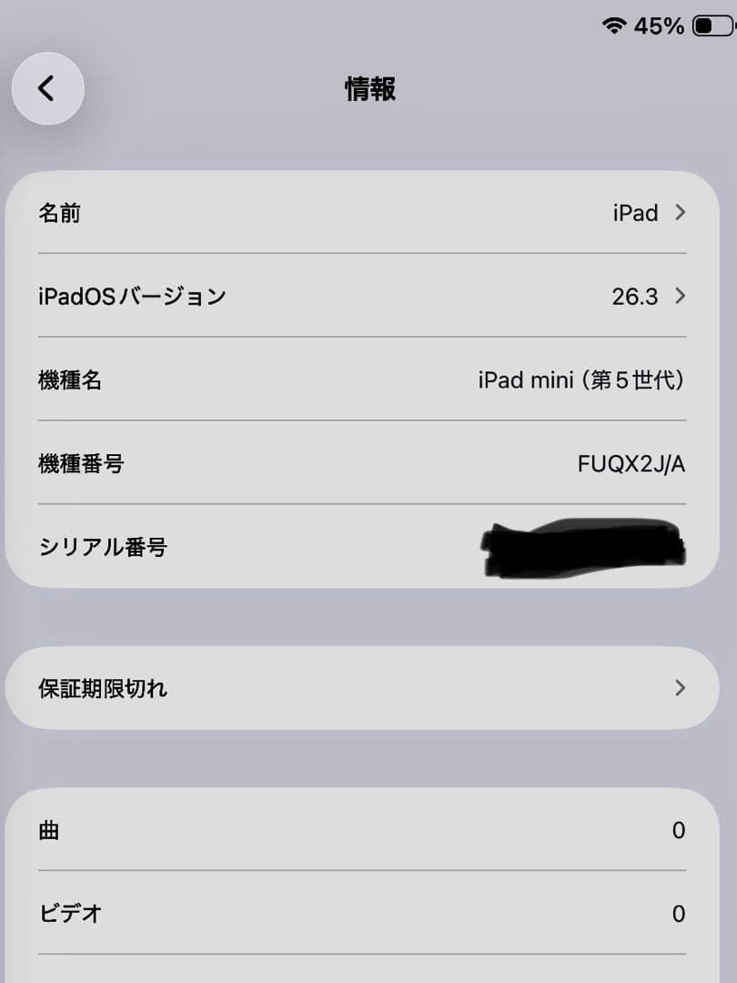 【美品】 iPad mini (第5世代) 64GB シルバー Wi-Fiモデル