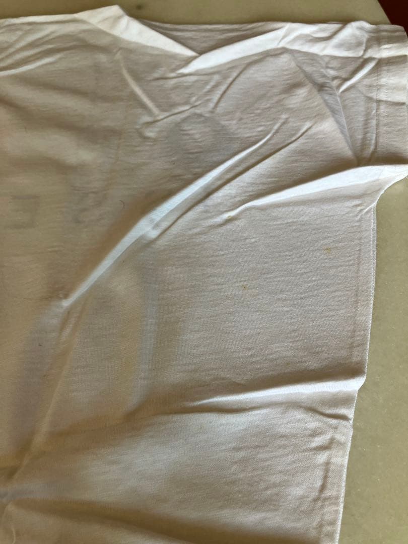 三宅一生 ISSEY MIYAKE SKYLINE コラボTシャツ　レア　希少
