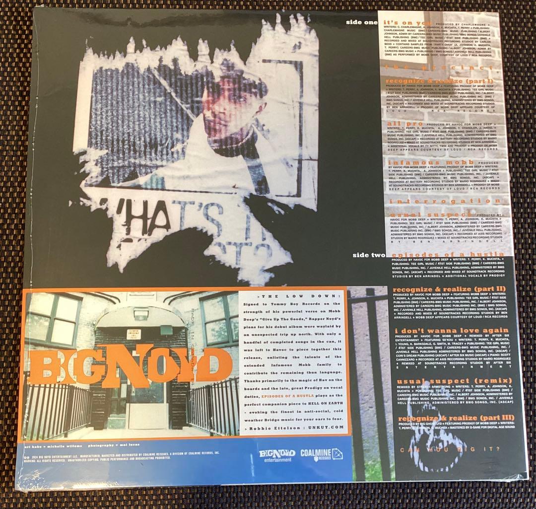 新品未開封 BIG NOYD episodes of A hustla レコード