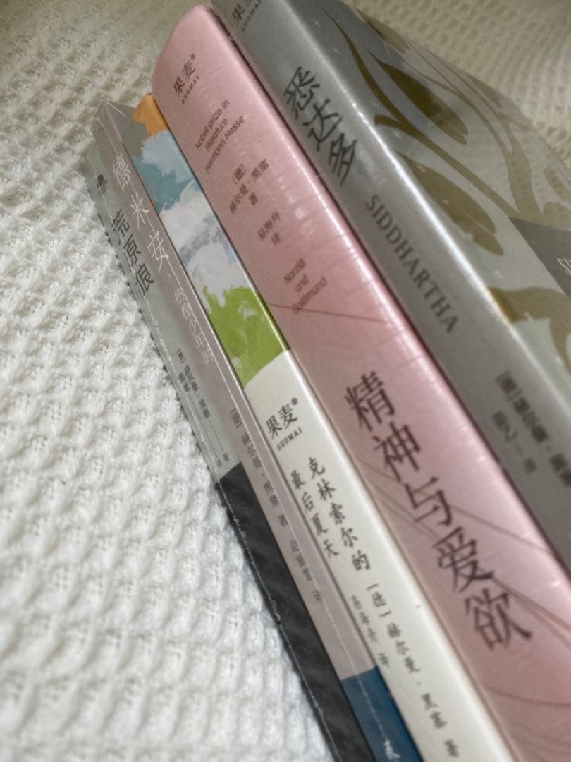 黑塞作品集 悉达多精神与爱欲克里索尔最后的夏天荒原狼德米安 姜乙译悉达多