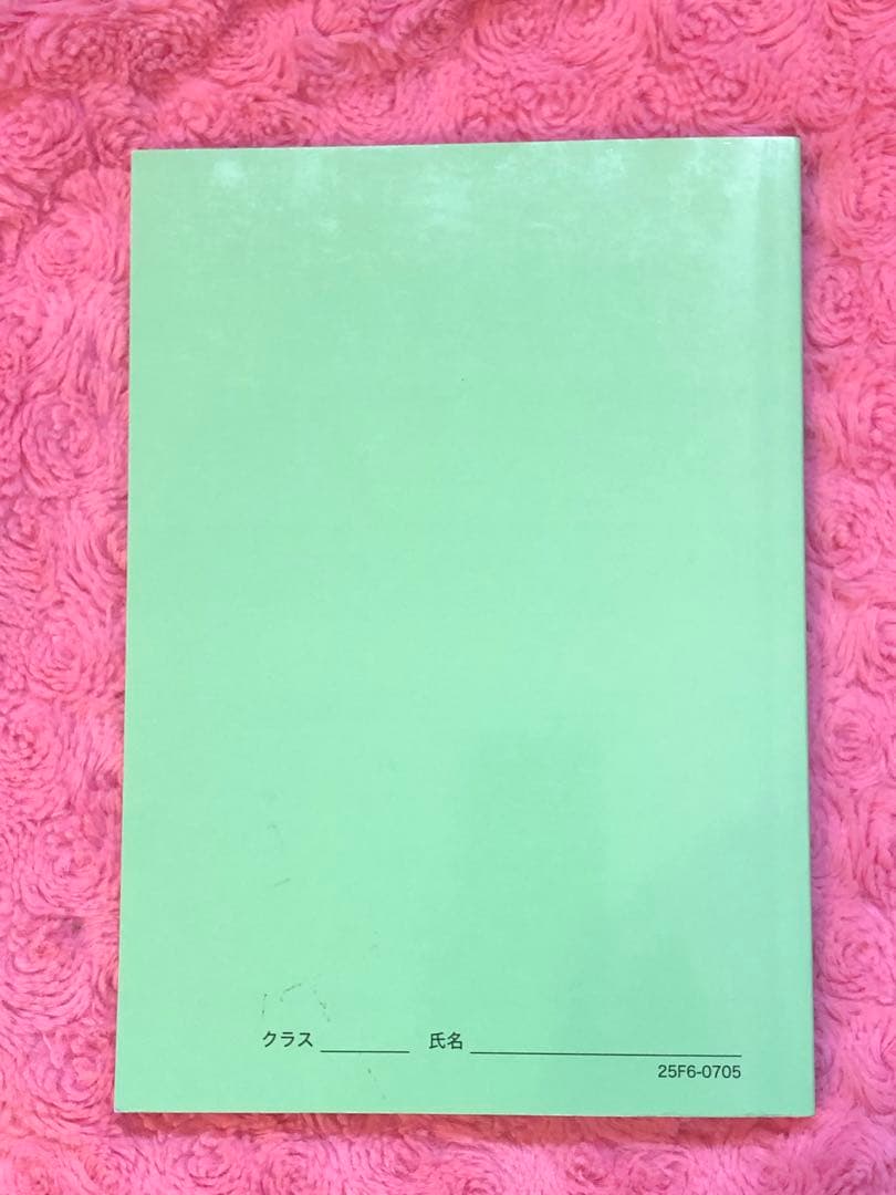 解説冊子オマケ付【最新版 2025年度】鉄緑会　高3　物理の登竜門　2冊セット
