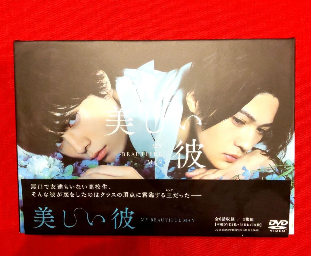 美品 美しい彼 DVD-BOX〈3枚組〉